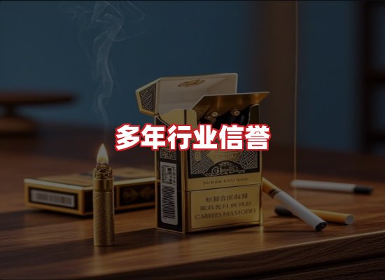 专业团队